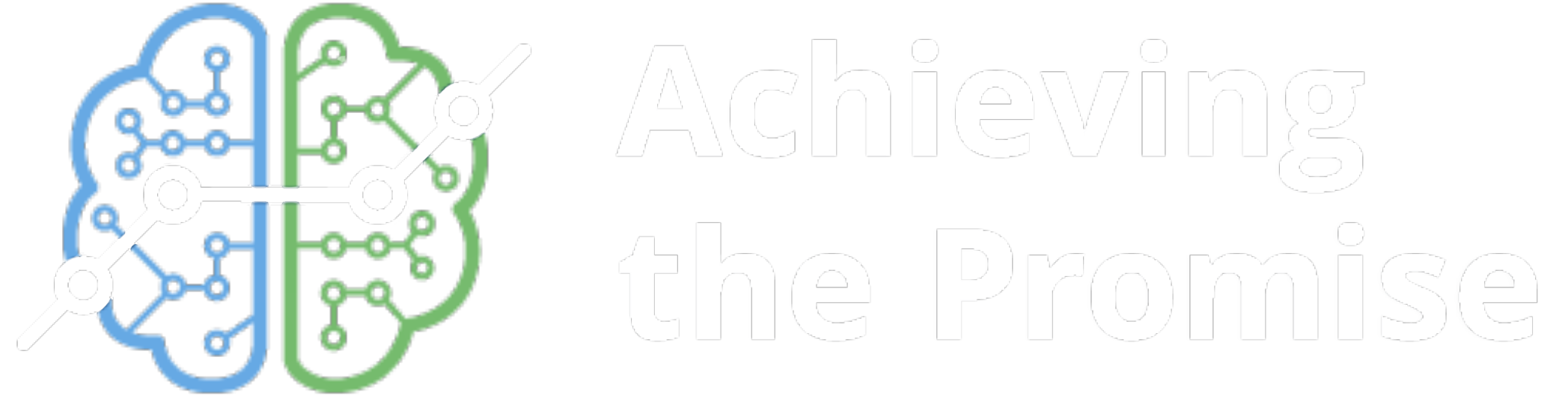 Achieving The Promise